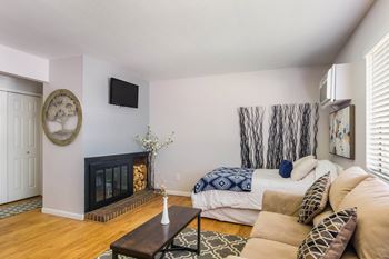 Fireplace sitting